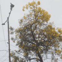 Vinod Vyas (@whatsinn) 's Twitter Profile