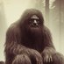Forest Peikko (@forestpeikko) Twitter profile photo Forest Peikko (@forestpeikko) Twitter profile photo