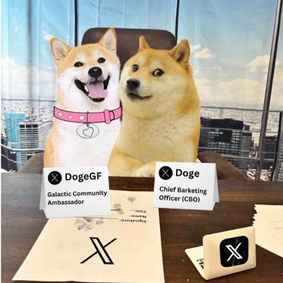 GIFT is part DOGEGF community knowledge ❤️❤️❤️