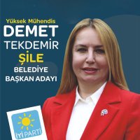 Demet Alkan Tekdemir(@de_met) 's Twitter Profile Photo