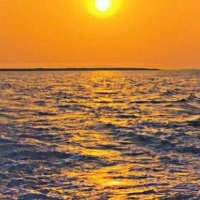 منى المالكي (@mona_2243) 's Twitter Profile
