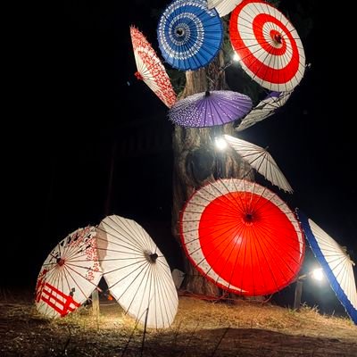 papionkunuraaka's profile picture. ISFP-T 普通じゃない自覚あります 歩く猿です