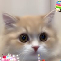 ジロー (@smilyayu) 's Twitter Profile Photo