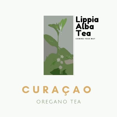 arrindelltech's profile picture. Curaçao Oregano Tea is een kruiden  thee, wordt gedronken bij Griep/verkoudheid/nierstenen/buikpijn/gewichtsverlies
