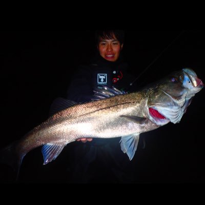 JACKALL field staff /SHIMANO support angler/シーバスメインにワカサギからマグロまで狙います。毎日釣り場に立ちたい人です。