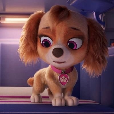 Hello my name is Skye and im love to fly 
🌸 Pilot/Pup let take to the sky🌸
🌸 My nummer in paw Patrol is 04🌸