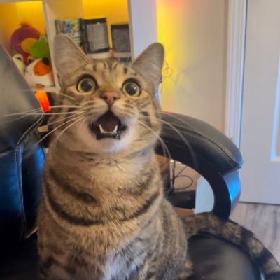 RandRPlayGames Profile Picture