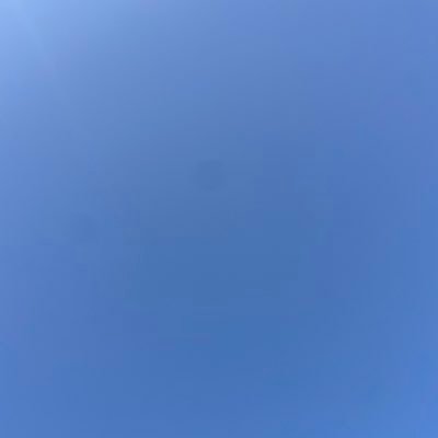 1maplesyrup1's profile picture. 爆豪勝己 / 右勝