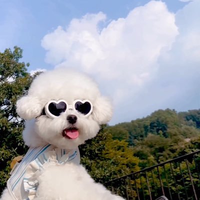 ry0_0gt46's profile picture. S水さん→Nつみさん→KDさん→SSSさん→거북이→RYO