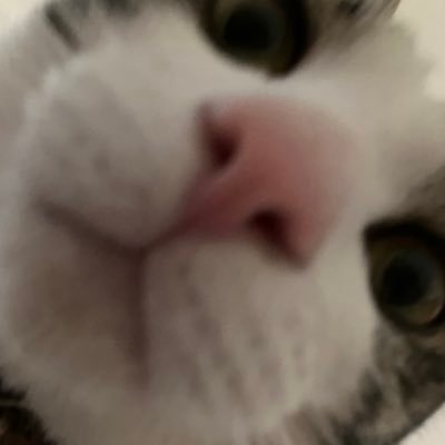 なまけものさんのプロフィール画像