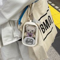 にっぴーᵕ̈* 🐧🐢 (@bf_1103_) Twitter profile photo