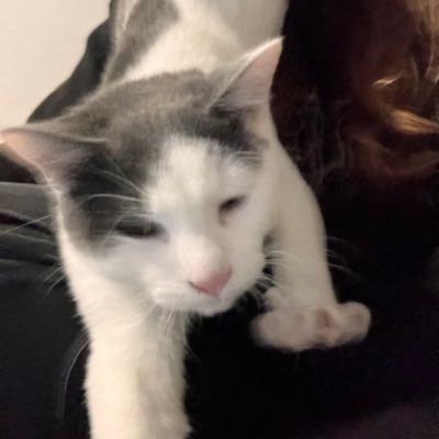 whit3corset's profile picture. 2021-2024