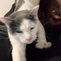 emilywhite (@whit3corset) 's Twitter Profile