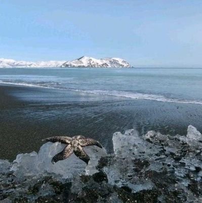 0sternchen0's profile picture. 