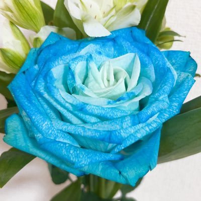 a1ya20no1's profile picture. 神宮寺くん寄りの箱推し♡5人の絡みが、雰囲気が大好きです🩵❤️ 🖤💛💜5人の夢をずっと応援していきたい✨信じられるのは5人だけ☆いつかまた5人が揃う事を、一緒に笑い合える日が来る事を願って…今は一人ひとりを応援しながら待ちたい！5人に幸あれ💕気軽に声をかけて下さい😊無言フォロー◎よろしくお願いします😆