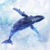 Crypto 空 (@tabitacrypto) Twitter profile photo Crypto 空 (@tabitacrypto) Twitter profile photo