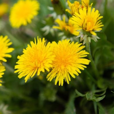 PentasStar5's profile picture. 気になる投稿をリポストして行きます！相互フォローで広がっていきたいです(*≧∀≦)人(≧∀≦*)♪