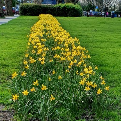 Posts about community and life in Fortune Green, West Hampstead  #NW6 #NW2