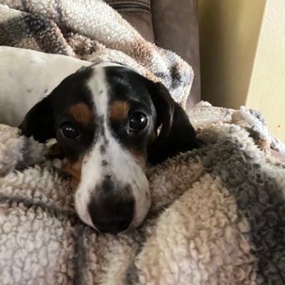 Karursou_'s profile picture. https://t.co/EGCw4akK8X