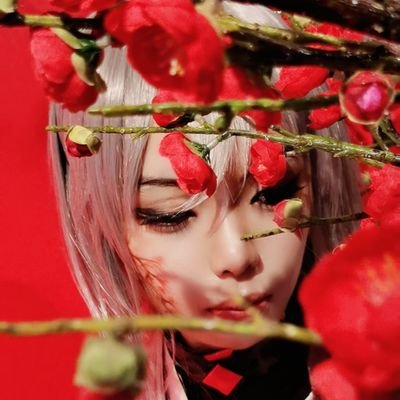 释无冕_Basilis🔮🐑さんのプロフィール画像