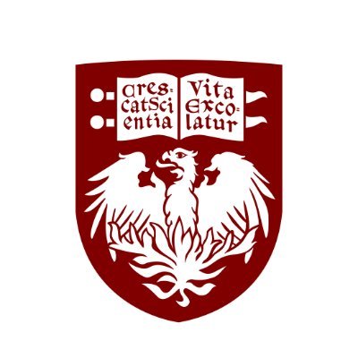 University of Chicago Science Communications Profile