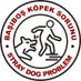 Başıboş Köpek Sorunu - Stray Dog Problem (@kopeksorunu) Twitter profile photo Başıboş Köpek Sorunu - Stray Dog Problem (@kopeksorunu) Twitter profile photo
