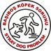 Başıboş Köpek Sorunu - Stray Dog Problem (@KopekSorunu) Twitter profile photo