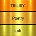 Trilisy Poetry Lab (@TrilisyPoetry) Twitter profile photo