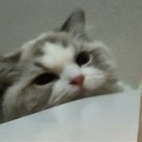 alwayits's profile picture. 7 dream / jeno jaemin