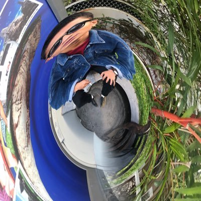 MJunfikar3796's profile picture. 