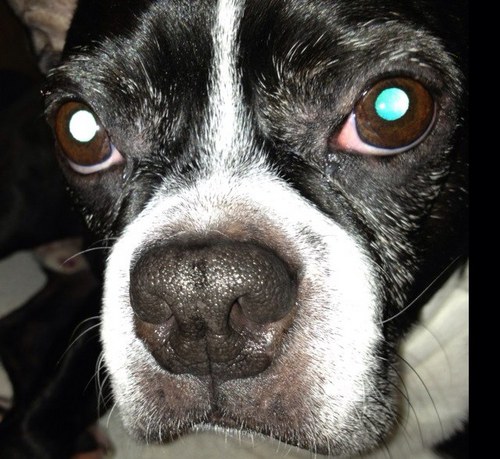 jsagrecy's profile picture. 