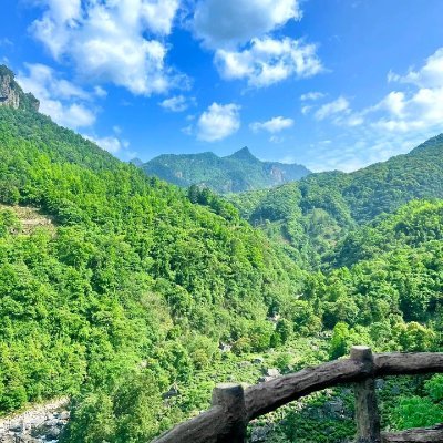 Michellcvvbb's profile picture. 