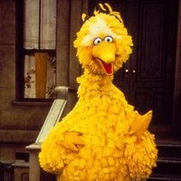 Big Bird(@bigbirdNFTs) 's Twitter Profile Photo