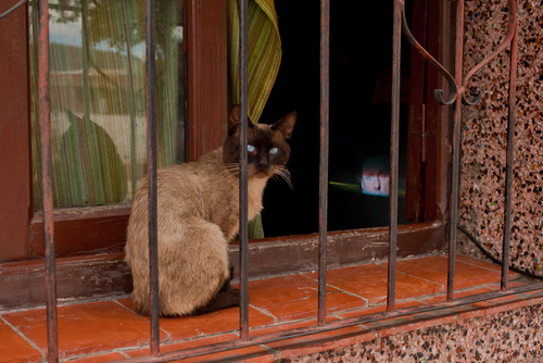 HansAage's profile picture. 