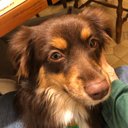 Tammy Bee - @tammybartner - Twitter