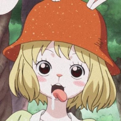 carrot_LOVE524's profile picture. キャロット🥕🐰　フォロバ基本100%