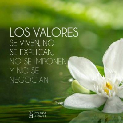 Las de acá son simples opiniones. No me represento ni estoy de acuerdo conmigo.