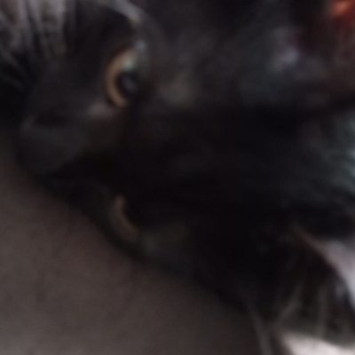 1Alvehz's profile picture. 🇧🇷 FN player | 0$ earnings | 0 relações amorosas