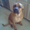 Sarah Rhoads - @slrhoads - Twitter