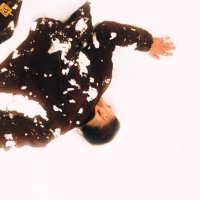 Hipo (@hipo_hips) 's Twitter Profile