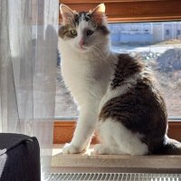 Aylinnn (@aylinnn_92) 's Twitter Profile