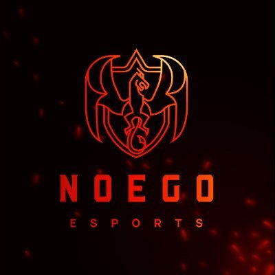 Profilo Ufficiale Noego Esports - EA FC 24 CLUB - OWNER @ormaik74 GRAFICHE: @xx_piluxx
Palmares: 1x Campionato VFT