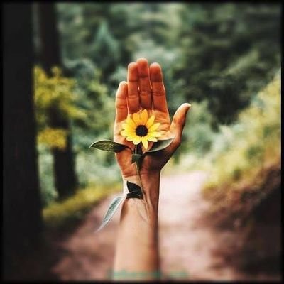 saeidhamoun's profile picture. جهانِ جهان را به بد نسپریم