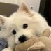 William Hemingway (@cgen184208) Twitter profile photo William Hemingway (@cgen184208) Twitter profile photo