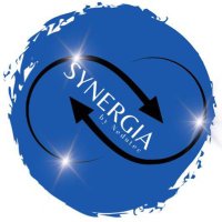 Synergia (@nedutec) 's Twitter Profile