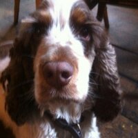 Duncan Ford-Young (@duncanfordyoung) 's Twitter Profile