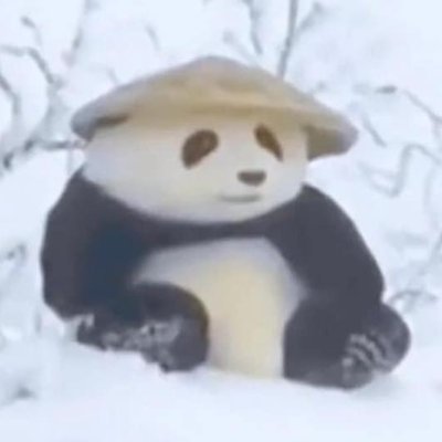 CryptoNoobiex's profile picture. 