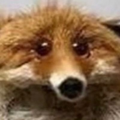 darkblade187erz's profile picture. Time doesn't heal everything