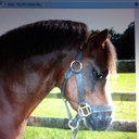 stacey buxton - @stacibuxton - Twitter