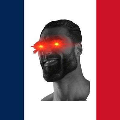 Homme blanc hétéro cisgenre privilégié oppresseur patriarcal 🇫🇷⚜